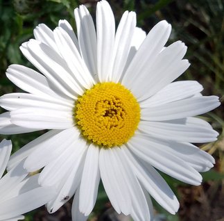 IMG_20240522_174852_2