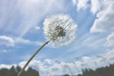 Pictures with English quotes about life and nature