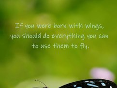 et ordsprog om at være født med vinger på engelsk 