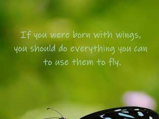 Ein Spruch über mit Flügeln geboren zu sein auf Englisch