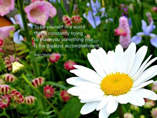 Zitat von Ralph Waldo Emerson darüber man selbst zu sein auf Englisch